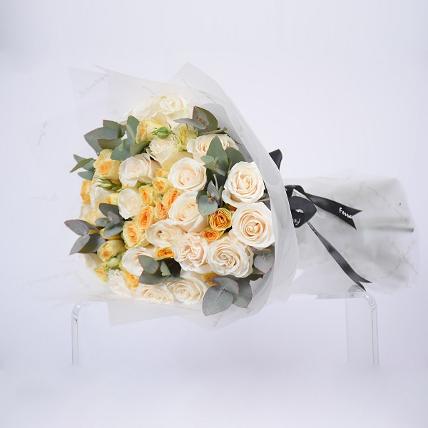 Lovely Memoire | الذكرى اللطيفة