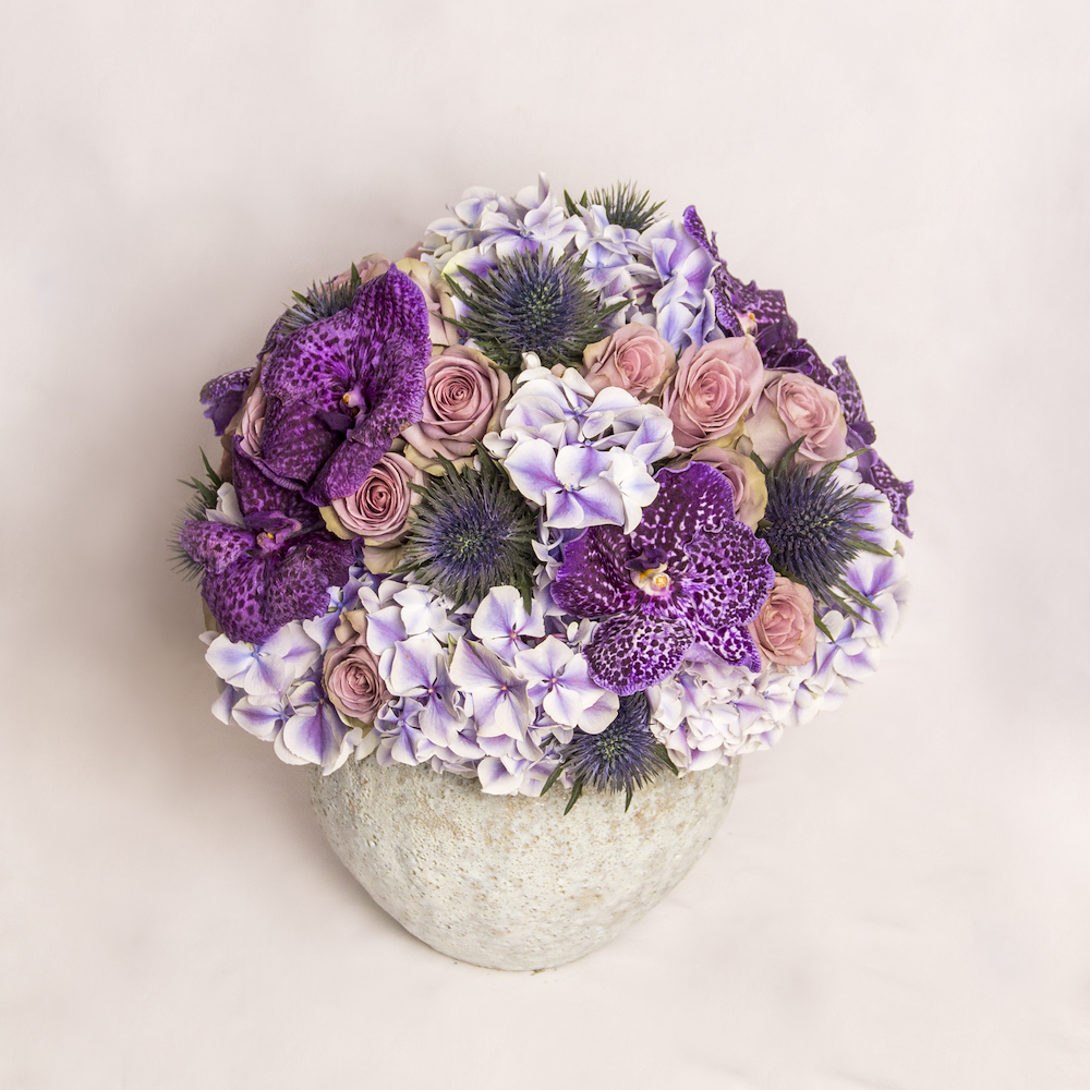 Noir Royal | نوير رويال