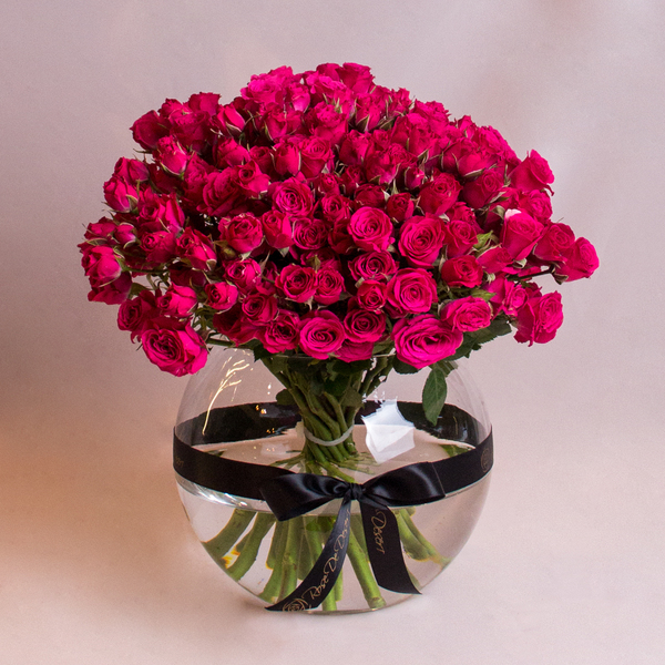 Simply Fuchsia | ببساطة فوشيا