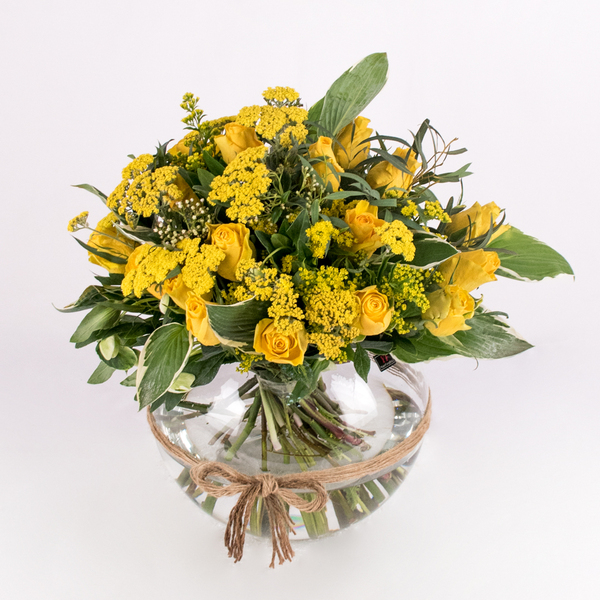 Sphere Canaria | اسفير كناريا