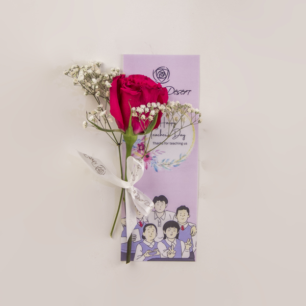 The Little Thank You | الشكر الصغير