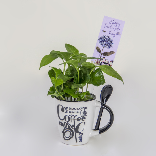 The Coffee of Knowledge | قهوة المعرفة