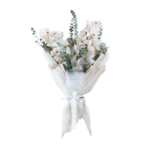 Ligne de Cymbidiinae