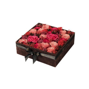 Endless Arcade Coral