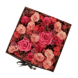 Endless Arcade Coral