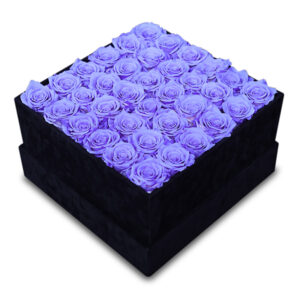 Endless Arcade Lavender