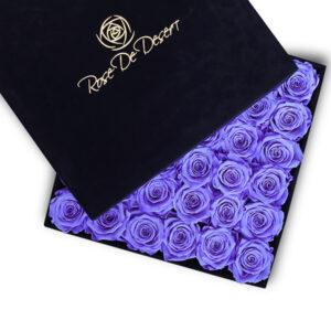 Endless Arcade Lavender