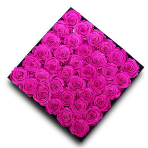 Endless Arcade Magenta