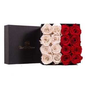 Endless Arcade National Day