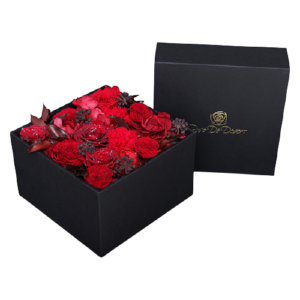 Endless Arcade Red Mix