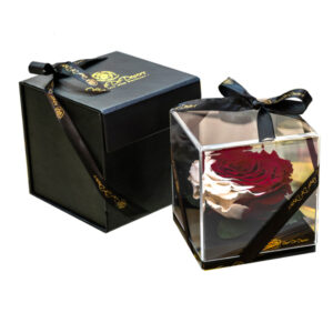 Endless Treasure National Day