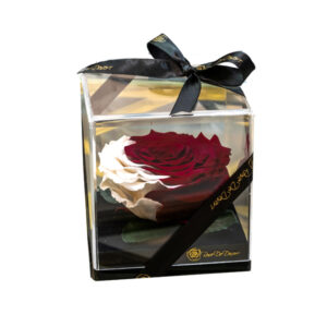 Endless Treasure National Day