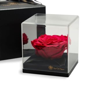 Endless Treasure Pink