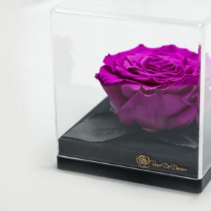 Endless Treasure Purple