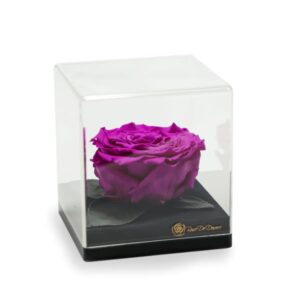 Endless Treasure Purple