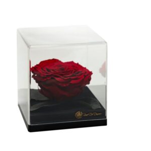 Endless Treasure Red