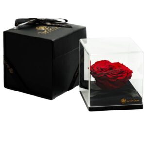 Endless Treasure Red