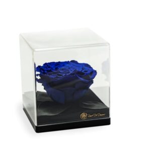 Endless Treasure Royal Blue