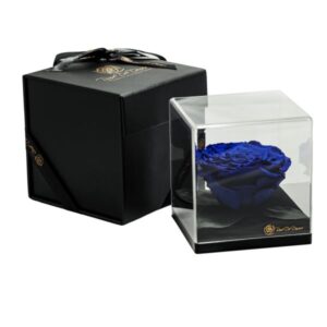 Endless Treasure Royal Blue