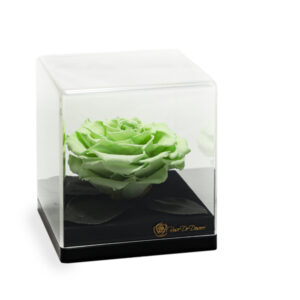 Endless Treasure Spring Green