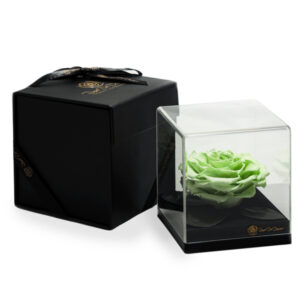 Endless Treasure Spring Green