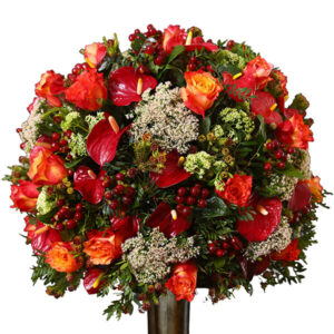 Pristine Amphora Red Mix