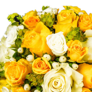 Pristine Solum Yellow White Mix