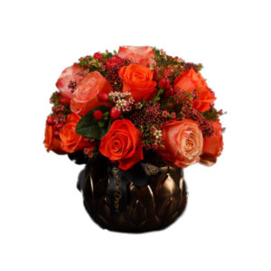 Pristinne Apollo Peach Mix