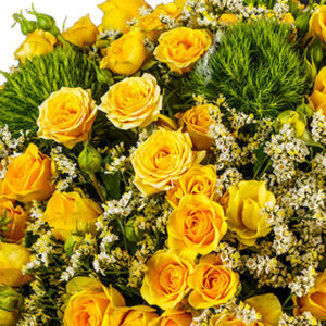 Pristine Champagne Yellow Mix