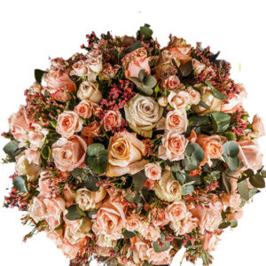 Pristine Champagne Peach Mix