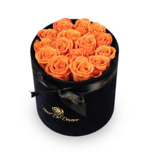 Pristine Fame Orange Crush