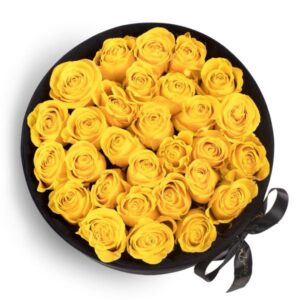 Pristine Glory Brighton