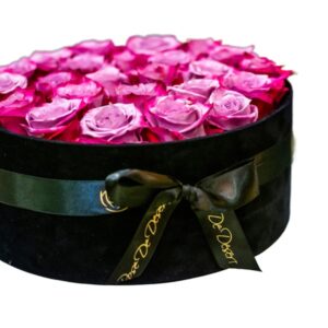 Pristine Glory is based on a trendy design choice which is perfectly harmonizing and supporting our wide selection of Pristine Roses. The striking punchy colors makes this box a perfect gift or decoration for a long time. Available in two sizes., in our branded velvet or paper boxes in black or brown colors.