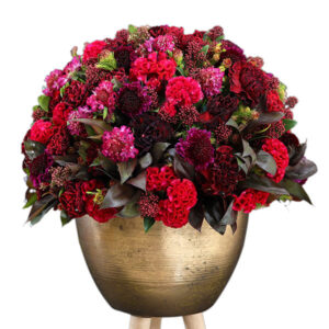 Pristine Artemis Red Mix