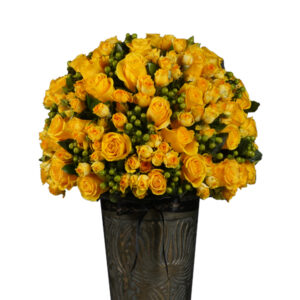 Pristine Artemis Brighton Mix