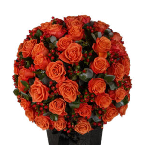 Pristine Artemis Orange Crush Mix