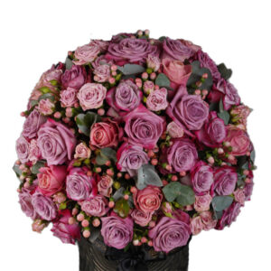 Pristine Artemis Purple Mix