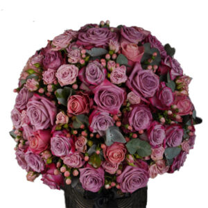 Pristine Artemis Purple Mix