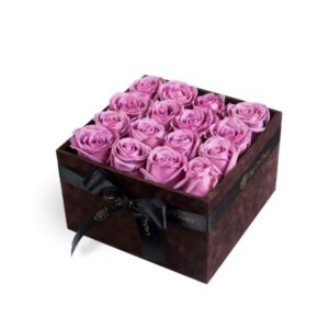 pristine-arcade-cool-water