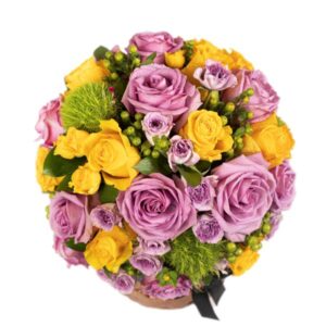 Pristine Aurous Ramadan