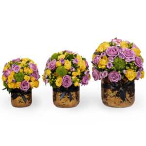 Pristine Aurous Ramadan