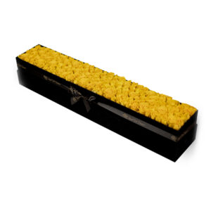 pristine-slender-brighton