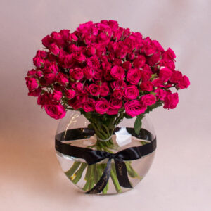 /simply-fuchsia-ببساطة-فوشي