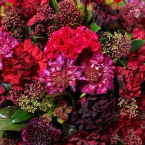 Pristine Artemis Red Mix L