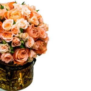 Pristine Aurous Kahala Mix