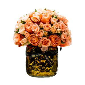 Pristine Aurous Kahala Mix