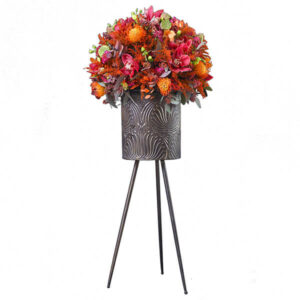 Pristine Artemis Orange Mix