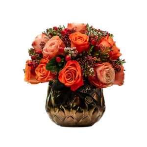 Pristinne Apollo Peach Mix